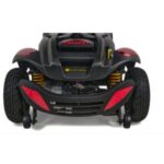 Golden BuzzAround EX, 4-Wheel - Image 6